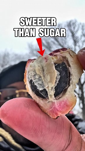 On YouTube check out my full documentary ‼️🔥#rarefruit #tropicalfruit #fruithustler #fyp #foryoupage
