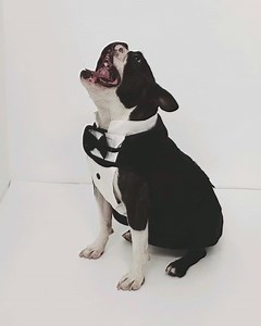 Metropolitan Opera audition video. | Boston the Boston