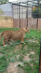 Adrian Prisecaru on Reels