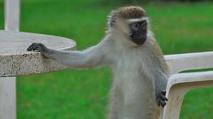 2.5K views · 32 reactions | People Hate These Jokes. #jokes #funny | FUNNY JOKES | Facebook