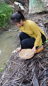 2.2M views · 10K reactions | Tú nhổ nấm mối làm bánh xèo miền tây nha #duonglamtutu | Đường Lâm Tú Tú | Facebook