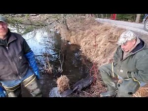 Jeff Dunlap and Jeff Hagerty trapping beaver with wire and J3 drowning locks