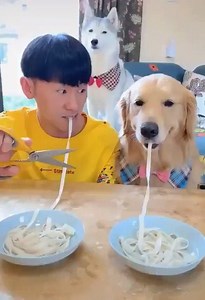 Spaghetti Dog :) hahaha | Ai Money