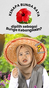 1.4K views · 18 reactions | Dalam banyak-banyak bunga kat dunia ni, kenapa Malaysia pilih Bunga Raya sebagai bunga kebangsaan?  Adakah sebab majoriti rakyat suka bila raya? 類 #ohmymedia #ommmedia #merdeka #malaysia #bungakebangsaan #bungaraya | Borak Daily | Facebook