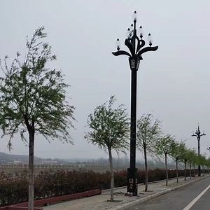 [Hot Item] Smart LED Street Light Pole with CCTV and Display