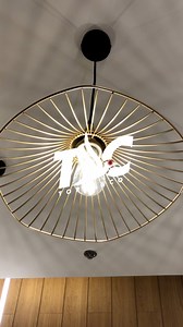 1.2K views · 18 reactions | Ice Luv - Behind the scenes | Daniel Omalin | Facebook