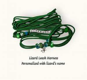 Personalized Adjustable Lizard Leash Harness; One Size Fits All: Multiple Sizes & Colors - Etsy