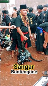 bantengan keren #bantengan #shorts #jaranan #barongan #semuaorang #funny #viralvideo