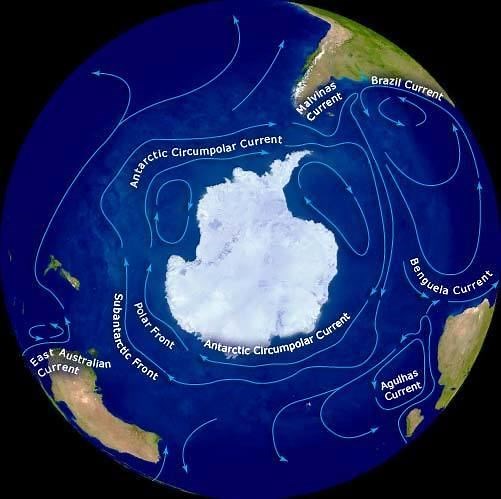 Antarctic Circumpolar Current - Alchetron, the free social encyclopedia