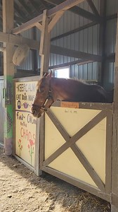 Happy Birthday Ruby! | Our Mims Retirement Haven