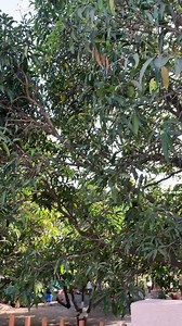 Meri beti aadhya ko leke swmming pool gaye 😎 | prachi domadiya