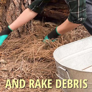 11K views | These will make gardening easy and fun! See them here! ➡️ https://amzn.to/2JiBp7R . We may earn a small commission from the above link at no cost to you | SHTF Prepping & Homesteading Central | Facebook