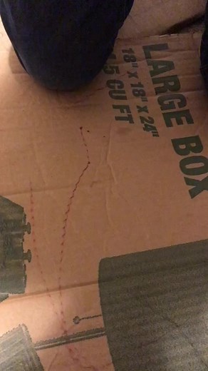 The nub (@the_nub_bois)’s videos with original sound - The nub