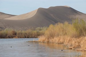 21K views · 302 reactions | Our thoughts and prayers are with Bruneau...