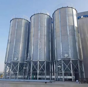 [Hot Item] Good Design Hopper Bottom Corn Paddy Rice Silos for Grain Storage