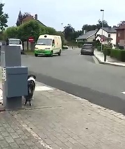 191K views · 7.8K reactions | the reward for waiting ...劉❤️ | Unify | Facebook