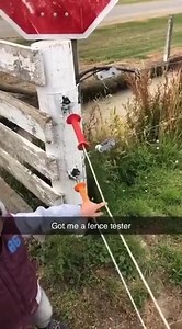 37K views · 390 reactions | NZ Farming on Reels | Facebook