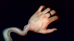 1.4M views · 10K reactions | Incredible Hand Art (by Jordan Molina...