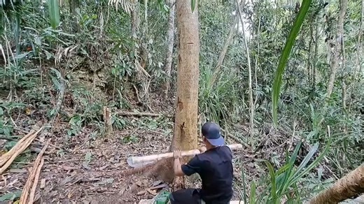 Sleeping soundly in a bark cabin #bushcraft #camp #camping #outdoor #outdoors #trip #viral #fyp #fypシ #fo | Hampton Bushcraft