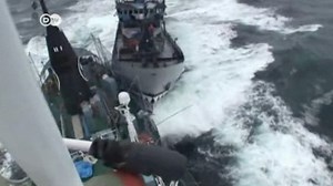 Whaling ship collision