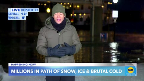 Brutal cold grips much of US