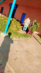 3.4K views | Mamta Malhotra ias mam after tution class smart craft ideas #Short #fypviral #craftideas #chadi #trading #explore #foryoupageシ #celebritystylist #fbreels | Story Hindi Videos | Facebook