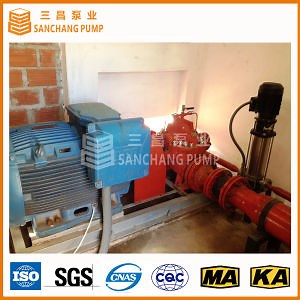 [Hot Item] Split Case Fire Pump / Split Casing Fire Pump (1250GPM 75-130m COS125-290 2950rpm)
