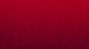 Parumala Hospital- | Indian Orthodox Sabha