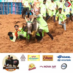 6.2K views · 795 reactions | பாலமேடு ஜல்லிக்கட்டு Important Moments | Tamil Flash News | Facebook