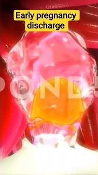Early pregnancy discharge। #pregnancysymptoms #earlypregnancydischarge