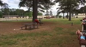 Seymour Johnson AFB on Reels