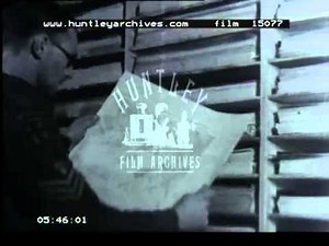The Canadian army in World War Two -- Film 15077