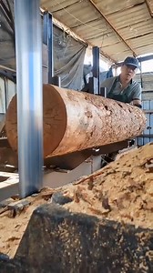 947K views · 1.3K reactions | Wood processing for wood projects large trees #wood #process #woodwork #woodcutting | Adelia febriani | Facebook