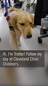 12K views · 39 reactions | The symptoms of ovarian cancer can be difficult to pinpoint because they can be very similar to typical aches and pains you might experience. But when you start to notice these symptoms happening, it could be a sign of something more. | Cleveland Clinic | Facebook