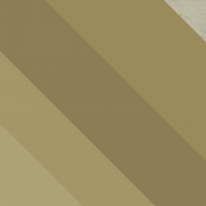 15 years of 'Save Me, San Francisco' is coming up (can you believe it?!), and we're celebrating with a 2LP vinyl repress! Pre-order the limited (there's only 1,000!) 2LP webstore-exclusive clear variant or the standard black variant to get your faves like "Hey, Soul Sister," "Marry Me," "If It's Love" & more with additional bonus tracks that have never been pressed before including... Shake Up Christmas Ordinary The Finish Line Hey, Soul Sister - Country Mix Parachute - Alternate Version more! G