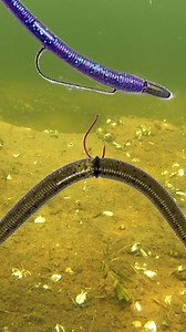 49K views · 525 reactions | Presenting spring patterns and the perfect lures for every temperature shift, from chilly deep waters to shallow spawning grounds. Learn how to entice those lethargic bass with suspending jerk baits, navigate mid-depths with crankbaits, and master the spawn with soft plastics and creature baits. App courtesy of #BassFishing #SpringFishing #FishingTips #omniafishing #lunkerville #fishinglife | Lunkerville | Facebook