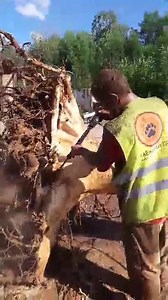 16K views · 13 reactions | Taiga Log Homes on Reels | Facebook