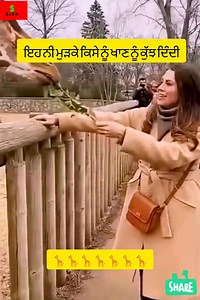 7.3K views · 29 reactions | ਇਹ ਨੀ ਮੁੜਕੇ ਜਾਂਦੀ ਕਦੇ Zoo ਵਿੱਚ 藍藍藍 #digitalcreator #christmasday #christmaseve #motivation #newyear #holidaygreetings #dog #animallover | Sukh Deep Singh | Facebook