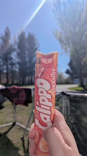 Ayrodynamic Flyball on TikTok