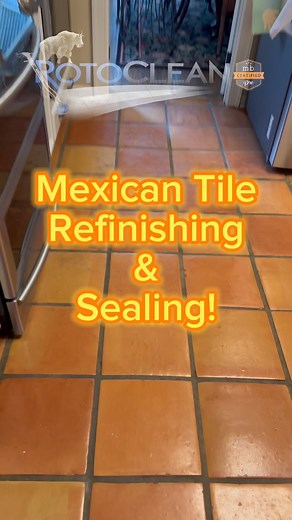 Saltillo/ Mexican tile restoration in Cordova Tennessee. Memphis...