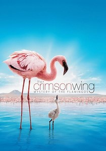 The Crimson Wing: Mystery of the Flamingos - streaming