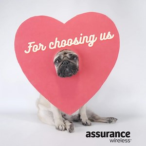 6K views · 64 reactions | We appreciate our customers! | Assurance Wireless | Facebook