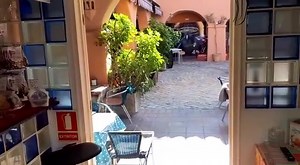 2.4K views · 27 shares | The popular and well established Almond Tree El Zoco in Calahonda is for sale. For more information contact Mandy on +34 677 408 881. | Mijas Costa Conversation | Facebook