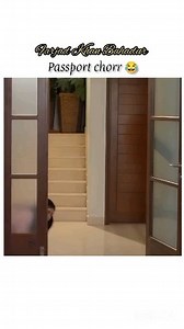 Cute Passport chorr ||😂🔥 fairy tale #shorts #shortsfeed #fairytale #seh#trending #reels #reelsinstagram | Bilal Abbas