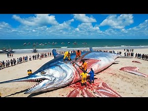 24 Hours Hunting Giant Swordfish — A Deep-Sea Longline Fishing Documentary