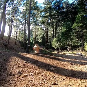 🎄😱 Brian Lopes 😎 Barry Nobles 🤩 Richie Schley 😲 Nik Nestoroff 🤗 Justin Fierro 🎄 Merry Christmas 🎄 | Vanity Cycling