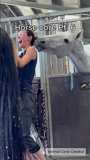 Horse core Pt. 6 🐎 #horse #horses #animals #animalcore #horsecore