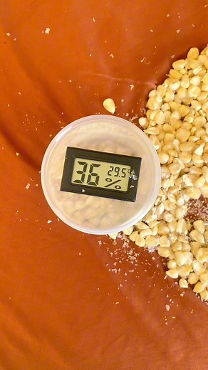 SIMM Moisture meter going for 990 Ksh | Griffaton Seeds