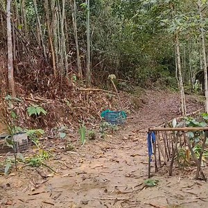 2.6K views · 147 reactions | Make Banh Tet | Butterfly NN | Facebook