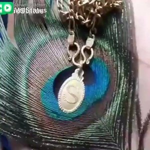 #VidStatus | VidStatus